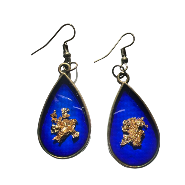 Blue shine - Image 2