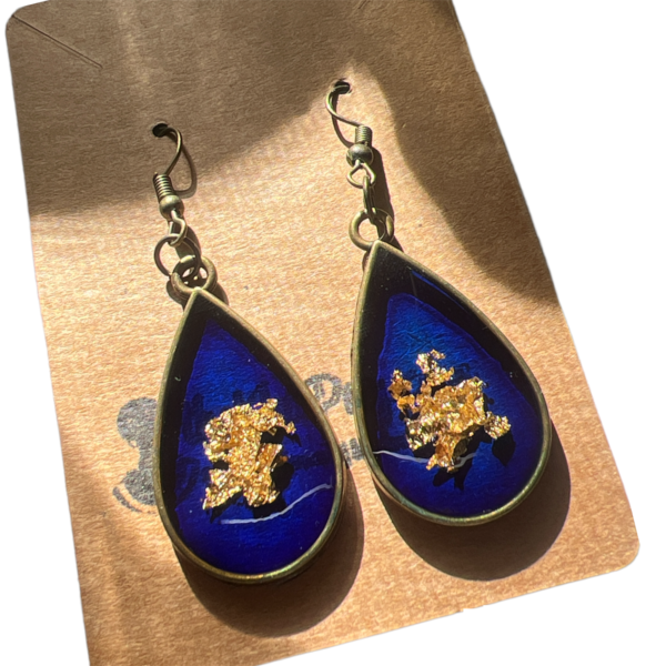 Blue shine - Image 3
